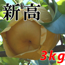 新高(3kg)